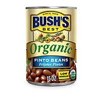 BUSH'S BEST Organic Pinto Beans - 15 Oz