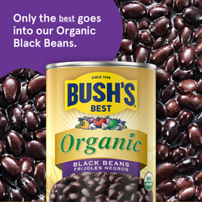 Bush's Organic Black Beans - 15 Oz - Image 3