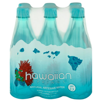 Hawaiian Springs Artesian Water - 6-500 Ml - Image 3