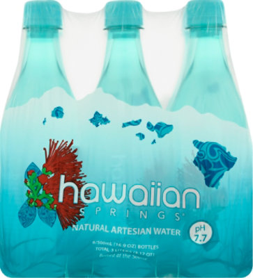 Hawaiian Springs Artesian Water - 6-500 Ml - Image 4