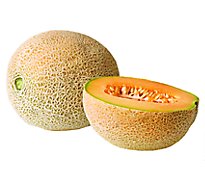 Athena Cantaloupe Melon