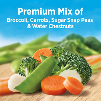 Birds Eye Steamfresh Broccoli Carrots Sugar Snap Peas & Water Chestnuts Frozen Vegetables - 10.8 Oz - Image 2