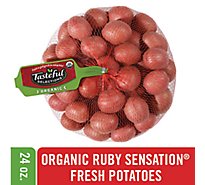 Tasteful Selections Organic Ruby Sensation Baby Potatoes - 24 Oz
