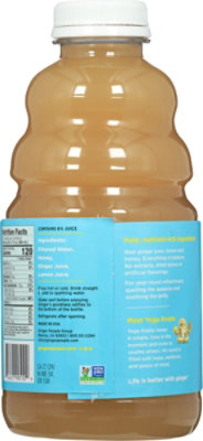 Ginger Ginger Soother - 32Oz - Image 6