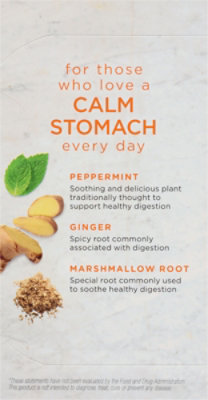 Bigelow Benefits Herbal Tea Ginger & Peach - 18 Count - Image 3