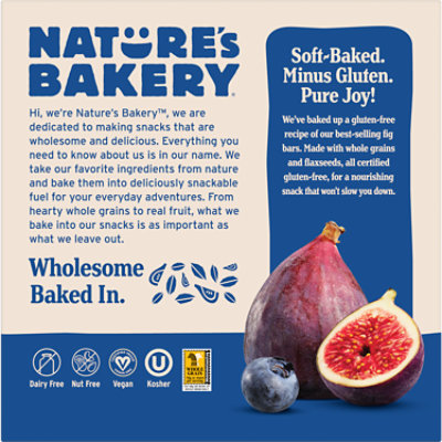 Natures Bakery Fig Bar Gluten Free Blueberry - 6-2 Oz - Image 3