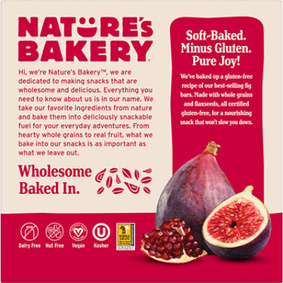 Natures Bakery Fig Bar Gluten Free Pomegranate - 6-2 Oz - Image 3