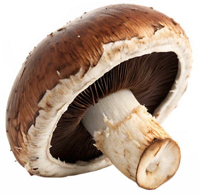 Organic Portabella Mushroom - Each - Image 1