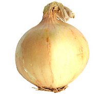 Onions Yellow Medium
