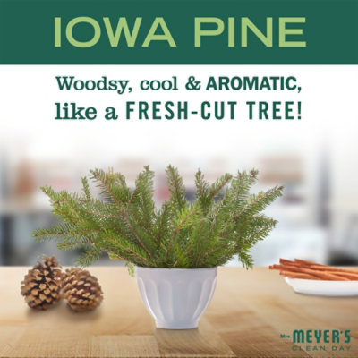 Mrs. Meyers Clean Day Dish Soap Iowa Pine Scent - 16 Fl. Oz. - Image 3