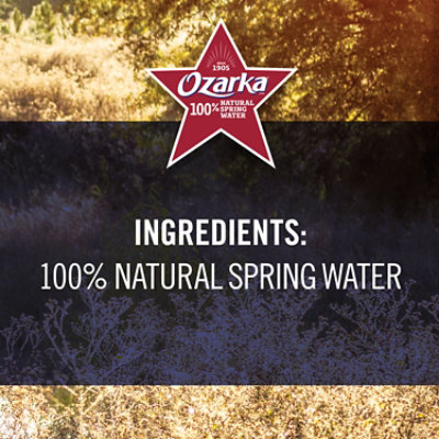 Ozarka 100% Natural Spring Water - 1 Gallon - Image 4