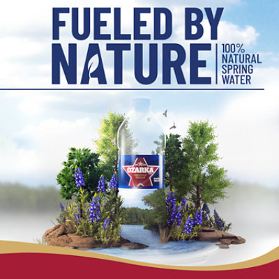 Ozarka 100% Natural Spring Water - 28-16.9 Fl. Oz. - Image 2