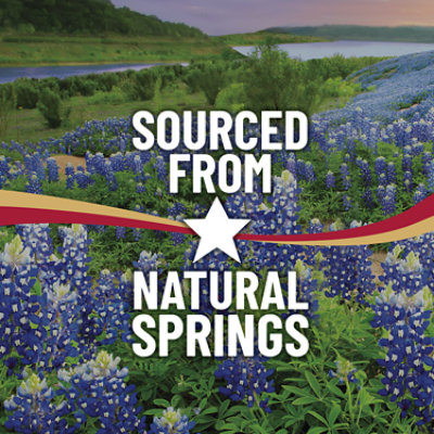 Ozarka 100% Natural Spring Water - 28-16.9 Fl. Oz. - Image 4