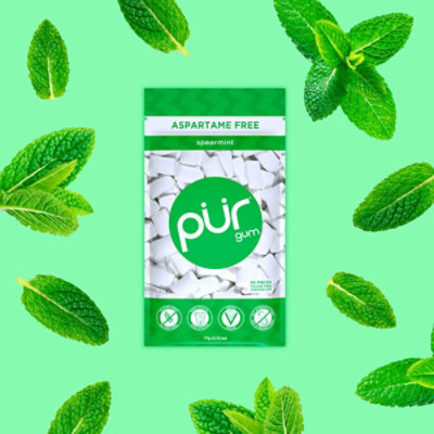 PUR Gum Spearmint Aspartame Free - 55 Count - Image 2