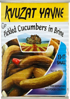Kvuzat Yavne Can Sm Cucum Brine - 19 Oz - Image 2
