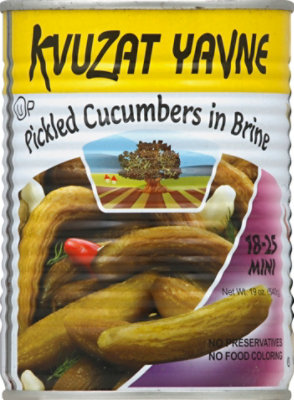 Kvuzat Yavne Can Mini Cucum Brine - 19 Oz - Image 2