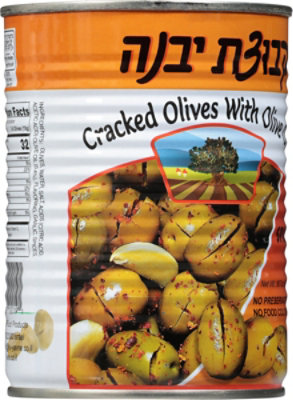 Kvuzat Yavne Can Olives Spicy Cracked - 19 Oz - Image 6