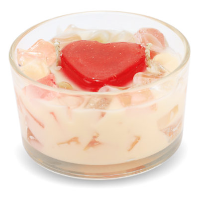 Primal Elements Cherish Two Wick Color Bowl Candle - 9 Oz