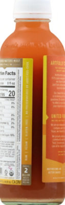 Holy Kombucha Blood Orange - 16.9 Fl. Oz. - Image 2