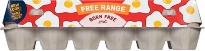 Born Free Eggs Free Range Large Brown - 12 Count - Image 2