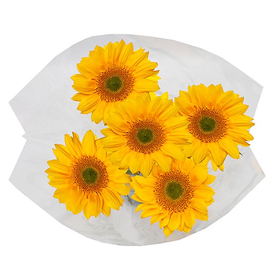 Sunspray Sunflowers - 5 Stem