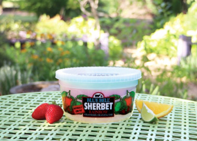 Blue Bell Supreme Sherbert - Quart - Image 3