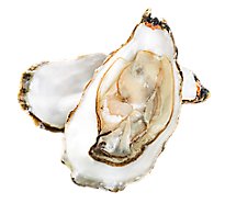 Seafood Counter Oysters Gulf 1 Ct Service Case
