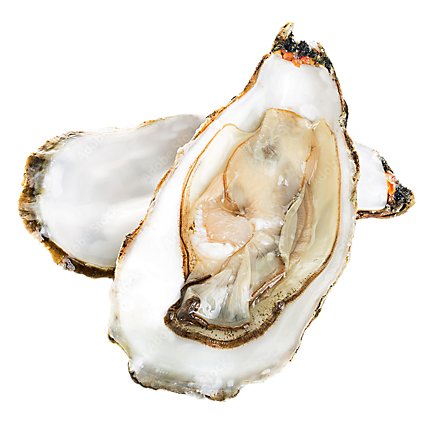 Seafood Counter Oysters Gulf 1 Ct Service Case - Image 1