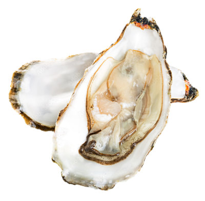 Service Case Gulf Oysters 1 ct - Image 1