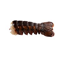 Seafood Service Counter Lobster Tail Raw 7-8 Oz Previously Frozen 1 Count - Each
