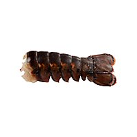 Seafood Service Counter Lobster Tail Raw 7-8 Oz Previously Frozen 1 Count - Each - Image 1