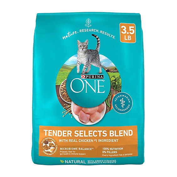 Purina ONE Tender Selects Chicken Dry Cat Food - 3.5 Lbs