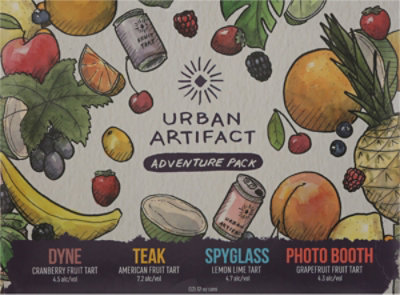 Urban Artifact Mix Pack in Cans - 12-12 Fl. Oz. - Image 4