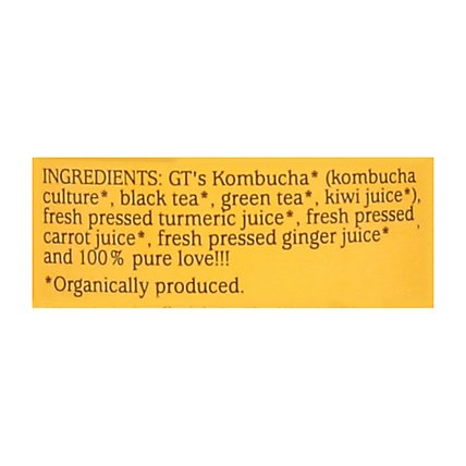 GTs Kombucha Organic & Raw Tantric Turmeric - 16.2 Fl. Oz. - Image 5