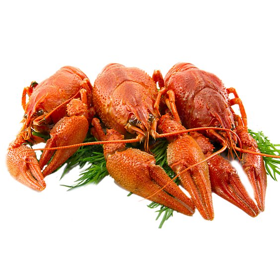 Crawfish Cooked Whole Previously Frozen Service Case - 1 Lb