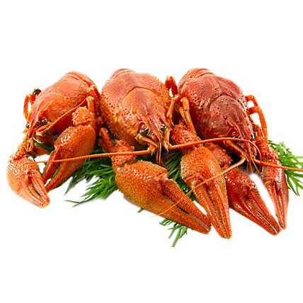 Crawfish Cooked Whole Previously Frozen Service Case - 1 Lb - Image 1