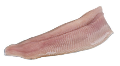 Trout Fillet 5 Oz Boneless Fresh - Each