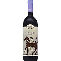 Candoni Pinot Noir Italy Wine - 750 Ml - Image 2