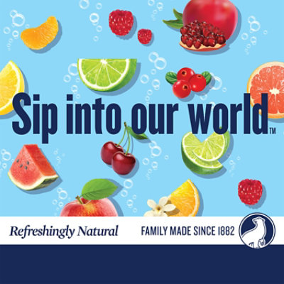 Polar Seltzer Cranberry Lime - 12-12 Fl. Oz. - Image 2