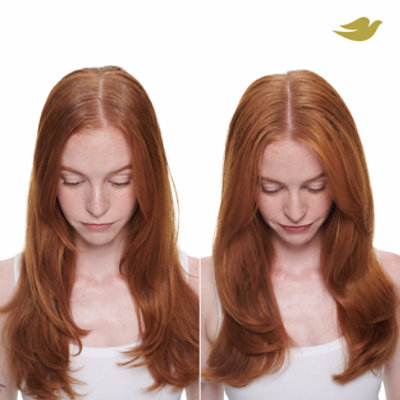 Dove Care Between Washes Dry Shampoo Detox & Purify - 5 Oz - Image 5