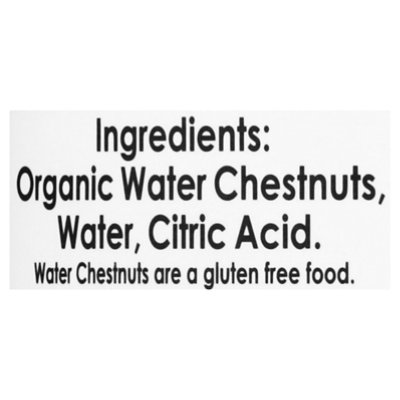 Native Forest Organic Sliced Water Chestnuts - 8 Oz - Image 5