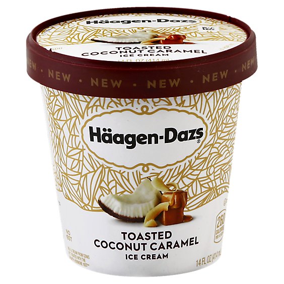 Haagen-Dazs Ice Ceam Toasted Coconut Caramel - 14 Fl. Oz.