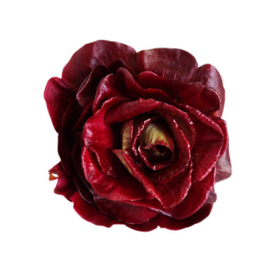 Radicchio Rosa Di Padavo Rose - Image 1