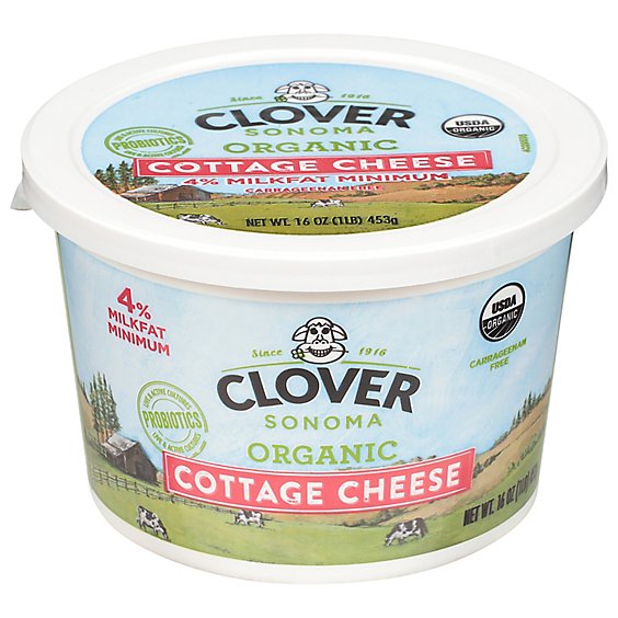 Clover Cottage Cheese Small Curd - 16 Oz
