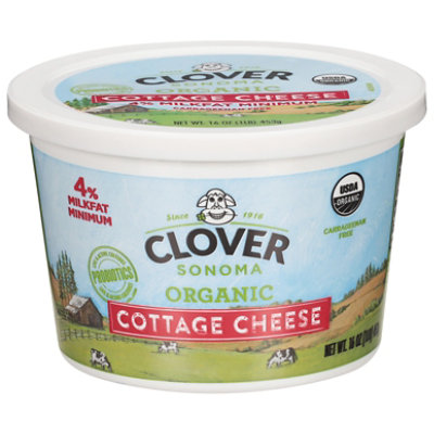 Clover Cottage Cheese Small Curd - 16 Oz - Image 1