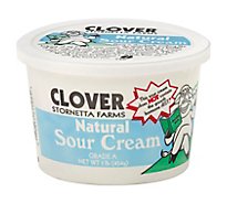 Clover Sour Cream - 16 Oz