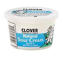 Clover Sour Cream - 8 Oz
