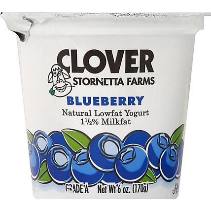 Clover Yogurt Lf Blueberry - 6 Oz - Image 2