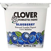 Clover Yogurt Lf Blueberry - 6 Oz - Image 2