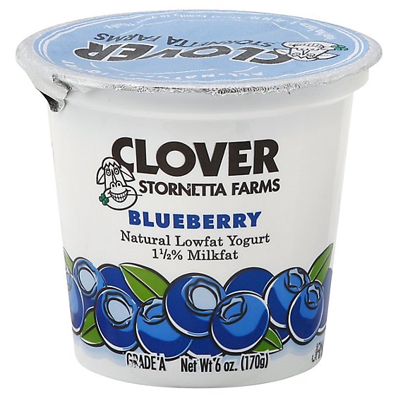 Clover Yogurt Lf Blueberry - 6 Oz